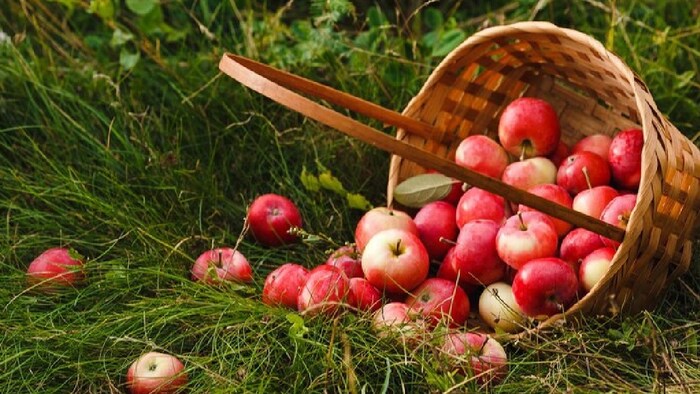 लो ग्रेड वाले सेब का इस्तेमाल हो सकेगा.