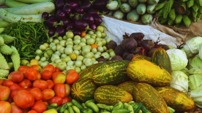 नवभारती किस्म