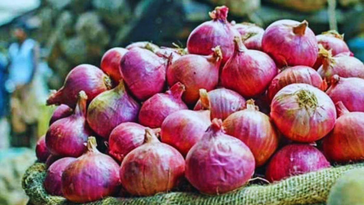 महाराष्ट्र की इस मंडी में सिर्फ 101 रुपये क्विंटल रह गया प्याज का दाम, किसान परेशान