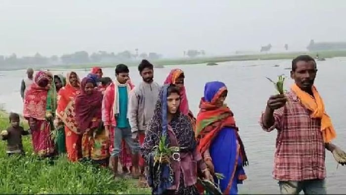 crop loss in Darbhanga