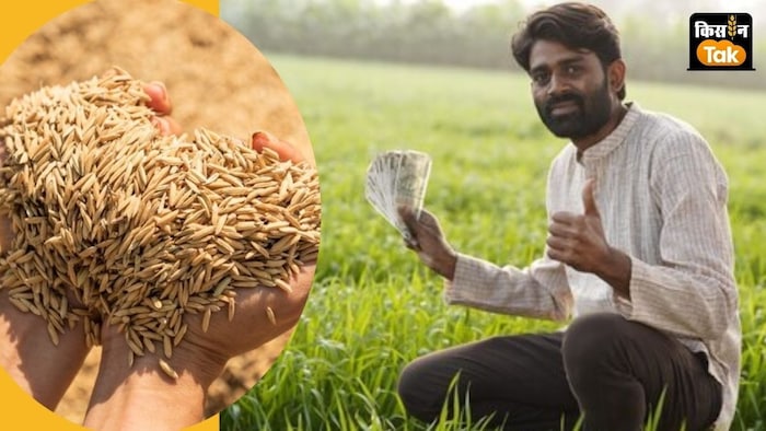 बोनस राशि 800 रुपये प्रति क्विंटल के हिसाब से जारी होगी.