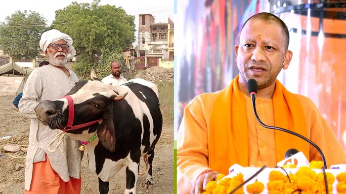 गोवंश को हरा चारा उपलब्ध कराने के लिए किसानों को करें प्रेरित- CM योगी