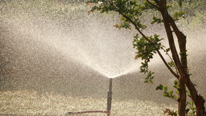 IIT kanpur revolution for farmers