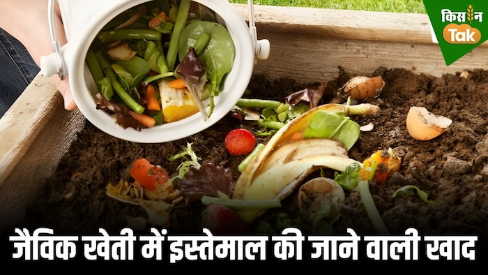 organic fertilizer pic