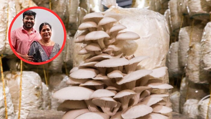 जीतू थॉमस (फोटो: सोशल मीडिया)