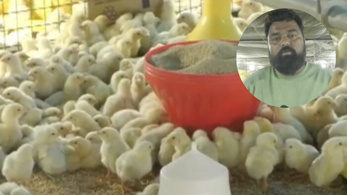 Poultry Farming