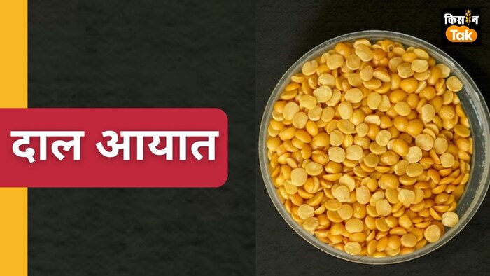 तुअर उत्पादन से 10 लाख मीट्रिक टन अधिक घरेलू खपत का अनुमान.