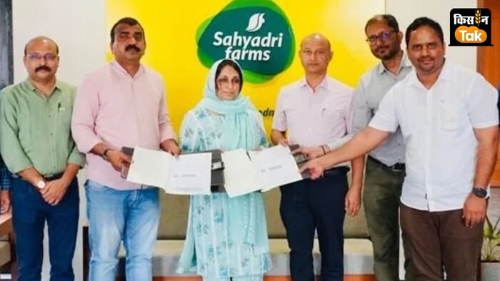 सह्याद्रि फार्म्स 1400 किसान उत्पादक संगठनों के साथ काम करेगी.