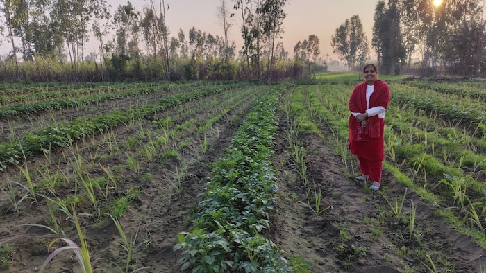 उत्तर प्रदेश के अमरोहा जिले की रहने वाली महिला किसान हितेश चौधरी (Photo-Kisan Tak)