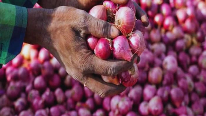 प्याज के दाम में गिरावट