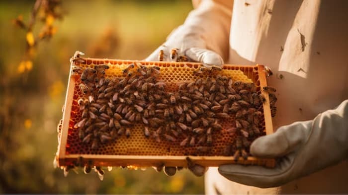 Representational Image