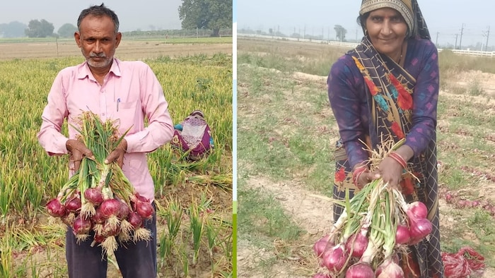 फतेहपुर जिले के औंग गांव निवासी किसान राम सिंह पटेल और उनकी पत्नी कांति देवी (Photo-Kisan Tak)