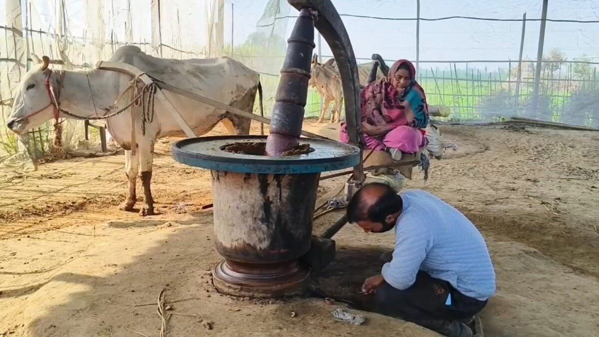 कोल्हू की मदद से निकालते हैं शुद्ध तेल, चार साल पहले शुरू किया था बिजनेस, अब हाथों-हाथ बिक जाता है ऑयल