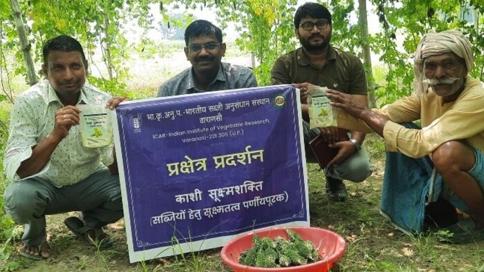 ICAR-IIVR Formulation Kashi Sookshmshakti