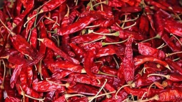 Red Chilli Price Down