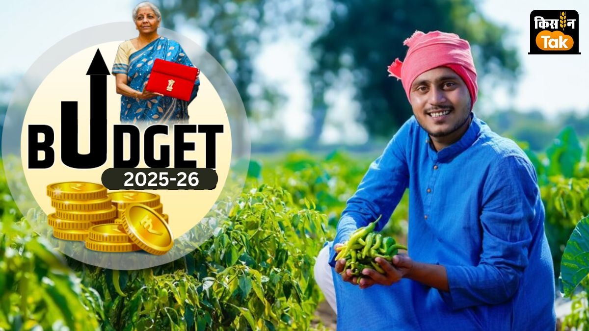 केंद्रीय वित्तमंत्री निर्मला सीतारमण आज 1 फरवरी को वित्तीय वर्ष 2025-26 के लिए बजट पेश कर रही हैं.