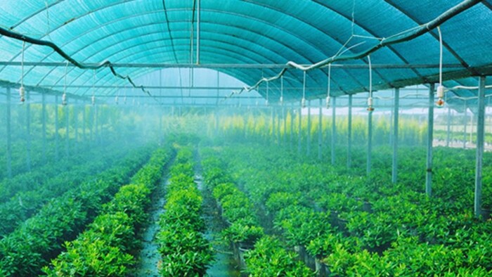 शेडनेट तकनीक