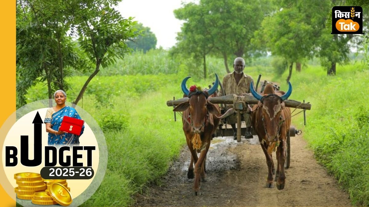 कृषि को मजबूत करने के लिए बजट में बड़े स्तर पर घोषणाएं, एग्री इंडस्ट्री ने बजट को खेती-किसानी के लिए अच्छा बताया 