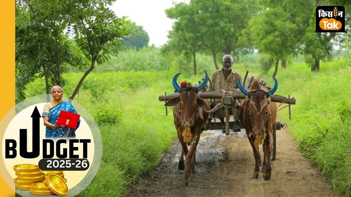 कृषि एक्सपर्ट ने कई घोषणाओं को किसान और उत्पादन के लिए अच्छा बताया है.