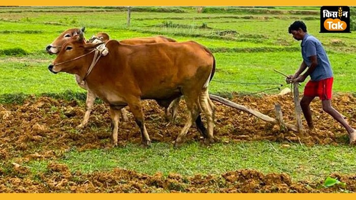 एग्री कंपनियों ने बजट घोषणाओं को स्वागत योग्य कदम बताया है.