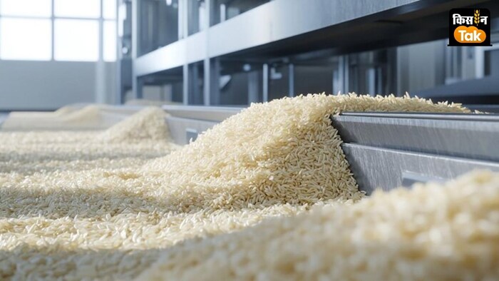 खरीफ चावल उत्पादन 6 फीसदी बढ़ेगा.