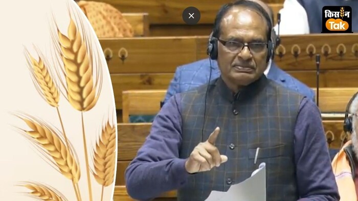 कृषि मंत्री शिवराज सिंह ने कहा कि प्रधानमंत्री फसल बीमा योजना देश के किसानों के लिए वरदान बनकर आई है.