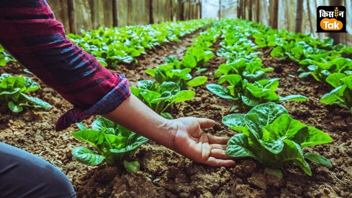 इनपुट उपलब्ध कराने के लिए 10 हजार बायो इनपुट रिसोर्स सेंटर भी शुरू किए जाएंगे.
