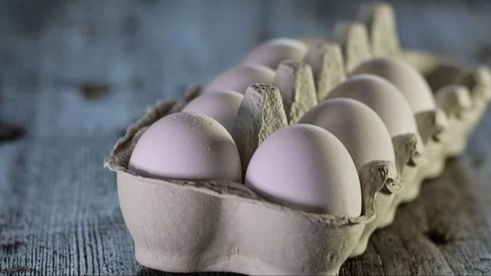 अंडे के निर्यात में बढ़ोतरी. (सांकेतिक फोटो)