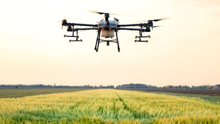 सलाम किसान ने कहा हम SHGs और महिला नेतृत्व वाले उद्यमों को बढ़ावा देना चाहते हैं.