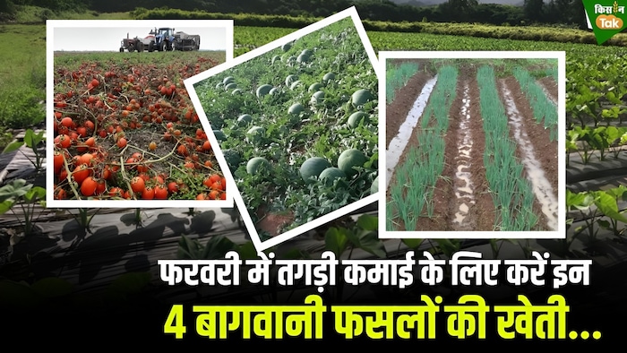 4 खास बागवानी फसलें