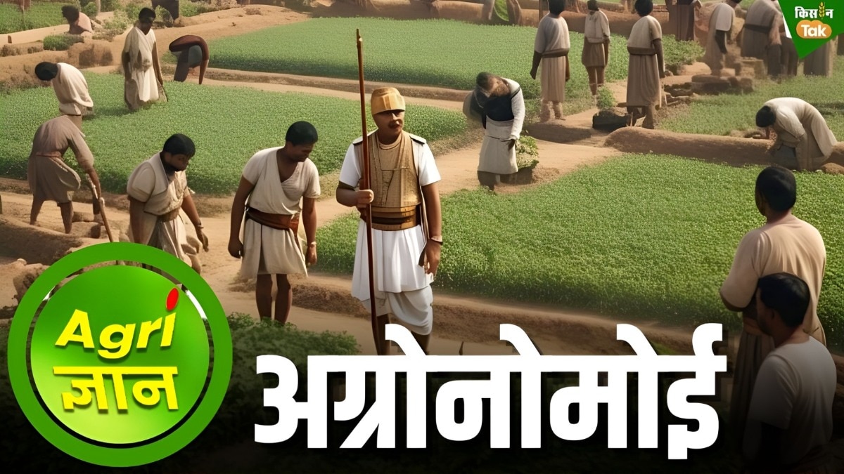 अग्रोनोमोई के बारे में जान‍िए सबकुछ, 2300 साल पहले ज‍िसके हाथ में होती थी भारत की कृषि व्यवस्था!