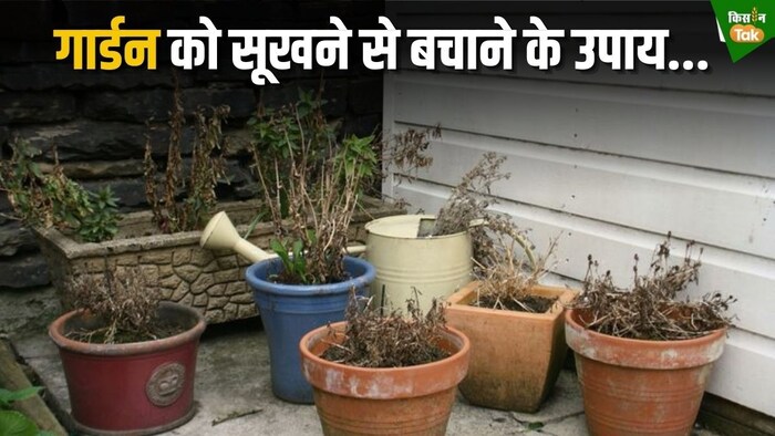 पौधों को सूखने से बचाने के ऊपाय