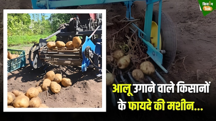 आलू की खुदाई करने वाली मशीन