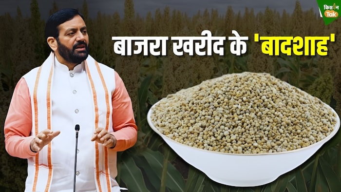 हरियाणा सरकार ने एमएसपी पर सबसे ज्यादा बाजरा खरीदा है.