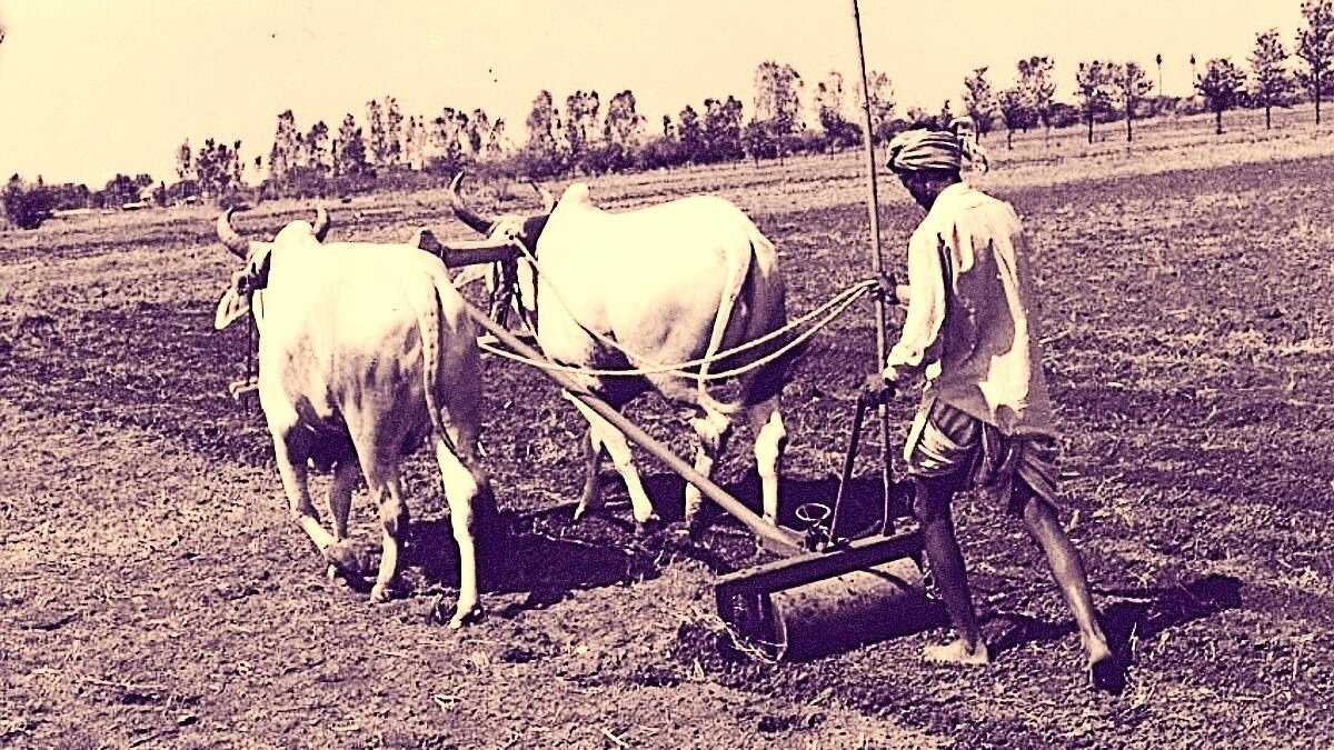 खेत की ज्यादा जुताई अच्छी है या खराब, क‍िसान हैं तो आपके पास होना चाह‍िए इसका जवाब 