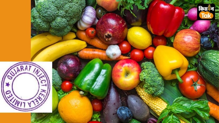 जबरदस्त नतीजों के चलते कंपनी का शेयर 52 सप्ताह के हाईएस्ट स्तर पर पहुंच गया है.