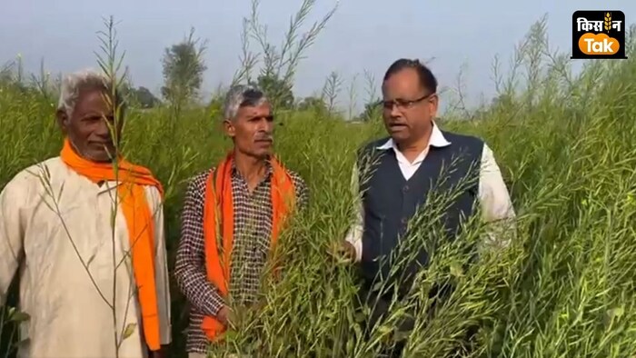 सिंचाई सुविधा नहीं होने के चलते किसान ने फसल में एक बार भी सिंचाई नहीं की है.