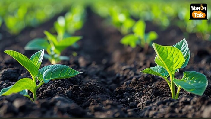 गोवा सरकार ने नई कृषि नीति जारी की है,