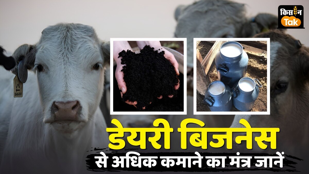 Dairy Milk: एक्सपोर्ट और घरेलू बाजार में डेयरी सेक्टर को रफ्तार देनी है तो करने होंगे ये तीन खास काम