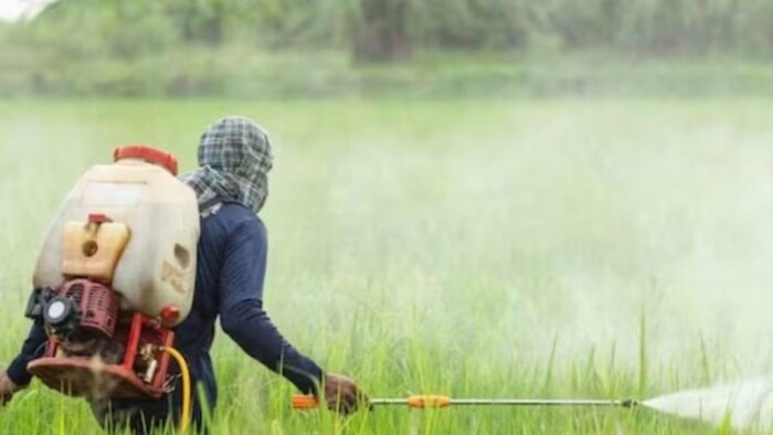 Organic pesticide use declined. Representative Image