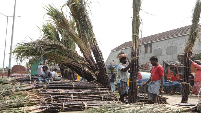 Bihar Sugarcane Price