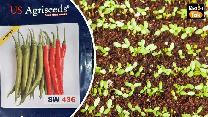 सौदेबाजी से नामधारी सीड्स की वैश्विक बाजार में पैठ बढ़ेगी.