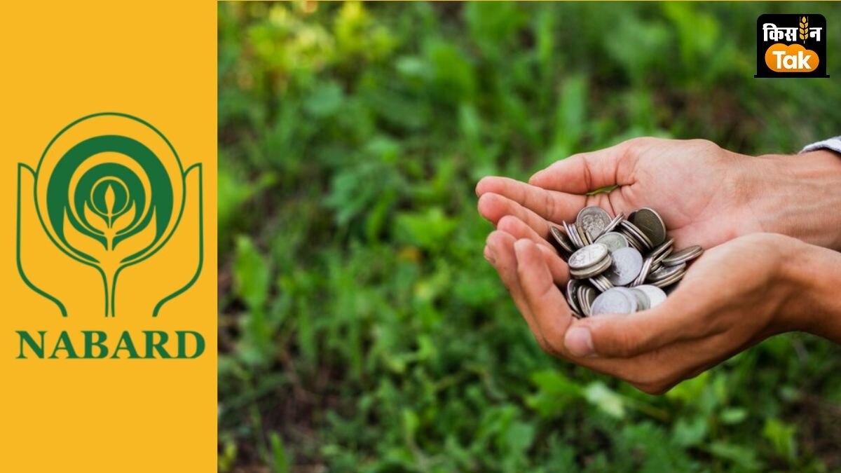 नाबार्ड ने जयपुर में वित्त वर्ष 2025-26 के लिए राज्य केंद्रित पत्र जारी किया.