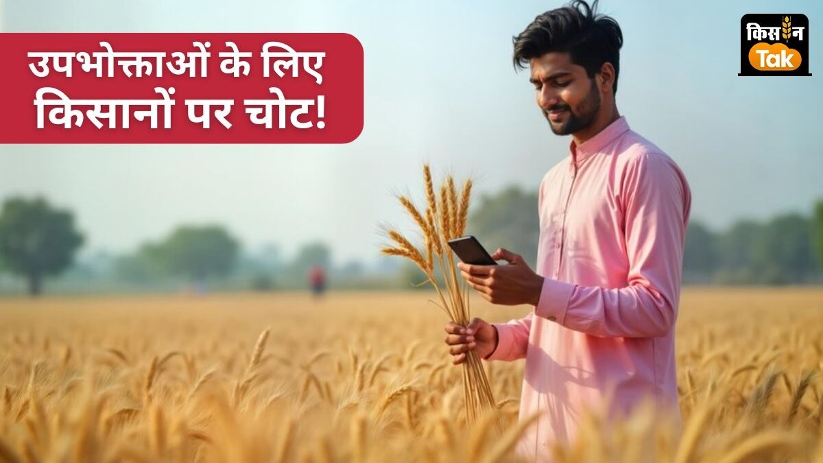 बाजार में गेहूं की आपूर्ति बढ़ाई जा रही है ताकि मौजूदा भाव को नीचे लाया जा सके.