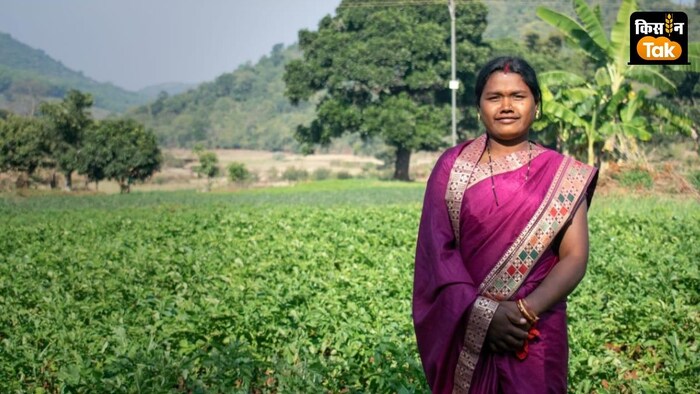 किसानों को वैज्ञानिक तरीके से अदरक, कद्दू और सब्जियों की खेती सिखाई जा रही है.