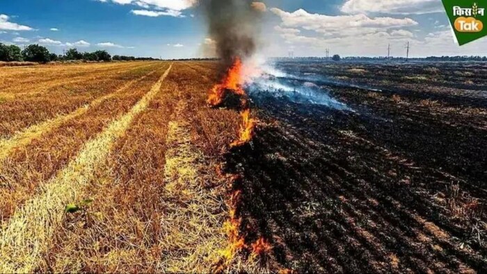 Stubble Burning