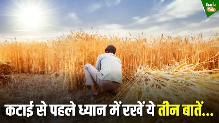 फसलों की कटाई के समय ध्यान में रखें ये बातें