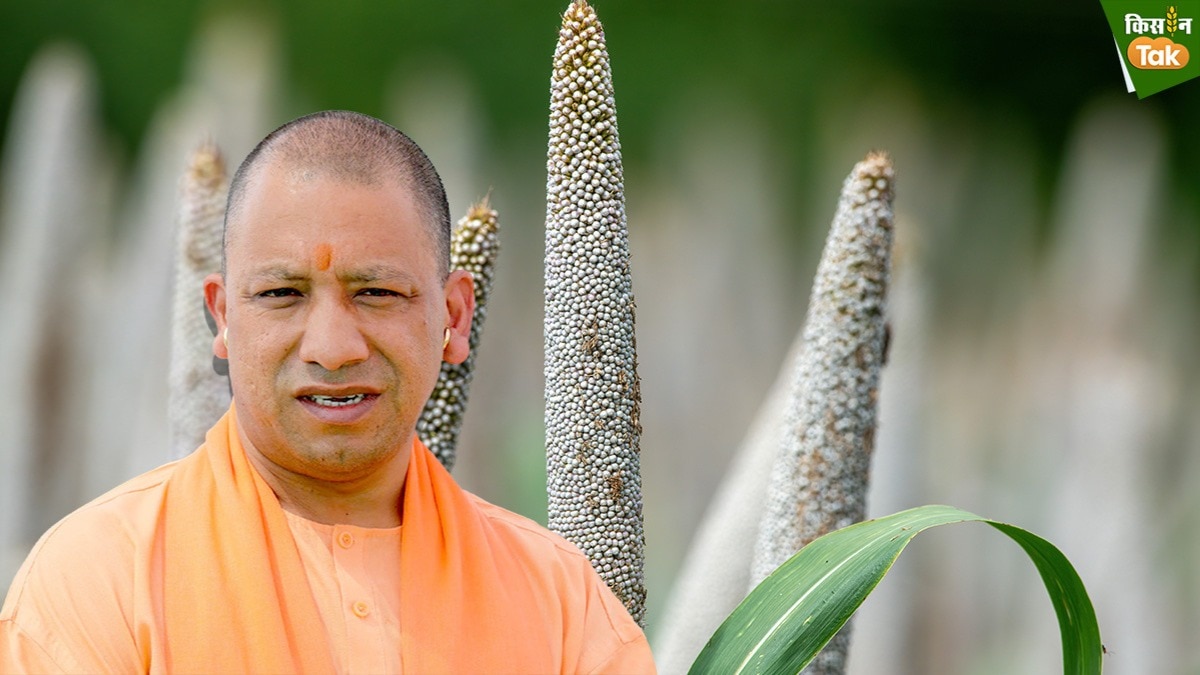 योगी सरकार उर्द, मूंग, मूंगफली और मक्का के बीजों पर दे रही भारी सब्सिडी