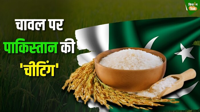 बासमती चावल का सबसे बड़ा उत्पादक और निर्यातक है भारत.