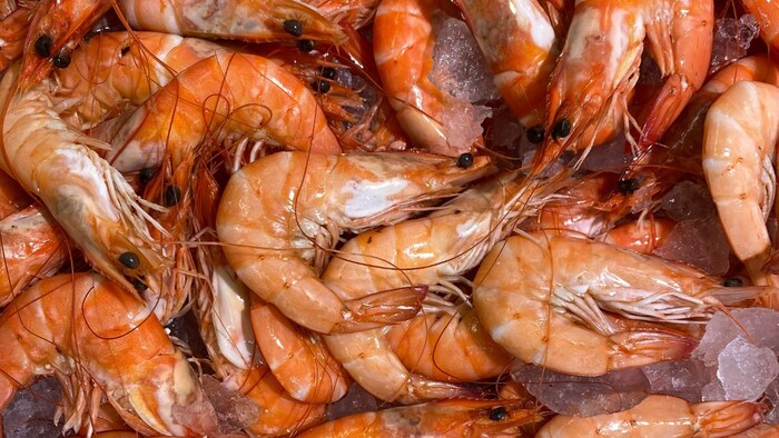 झींगा कचरा से कमाई (फोटो-गेटी इमेज)